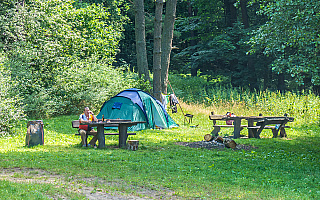 Majówka w lesie? Tak, ale nie wszędzie Majówka w lesie? Tak, ale nie wszędzie